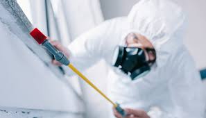 Best Residential Pest Control  in Ramapo College Of New Jersey, NJ